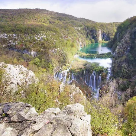 Modern In With Barbecue *