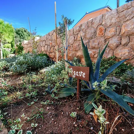 Modern In With Barbecue *