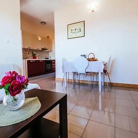 Modern In With Barbecue * Starigrad Paklenica