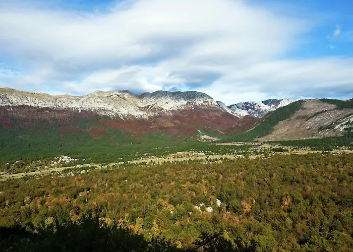 Modern In With Barbecue ستاريغغاد باكلينتسا